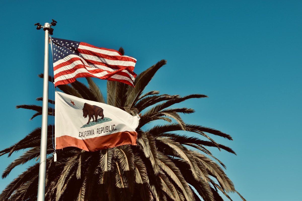 State and Local Election Guide for 2026 Elections