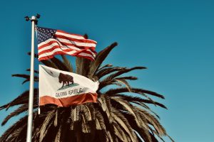 State and Local Election Guide for 2026 Elections